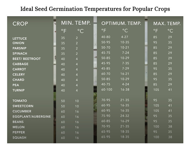 Ideal Seed Germination Temperatures for Popular Crops
